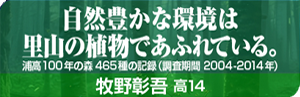 自然豊かな環境は里山の植物であふれている。